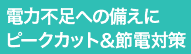 �d�͎����΍�E�s�[�N�J�b�g�΍􁕐ߓd�΍�Ƀf�}���h�Ď����u -HIOKI-